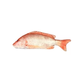 WOHOO MARKET Fish Cat Toy With Catnips- Red Snapper 30cm (zip pocket with catnip)