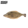 WOHOO MARKET Fish Cat Toy With Catnips- Halibut 30cm (zip pocket with catnip)