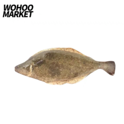 WOHOO MARKET Fish Cat Toy With Catnips- Halibut 30cm (zip pocket with catnip)